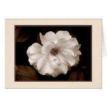 "Vår Ro (Sepia)"-gratulationskort