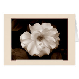 "Vår Ro (Sepia)"-gratulationskort Hälsningskort