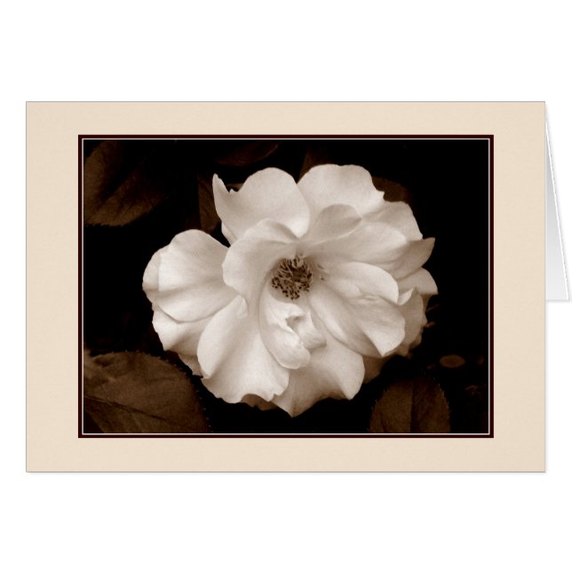 "Vår Ro (Sepia)"-gratulationskort Hälsningskort (Framsidan Horizontal)