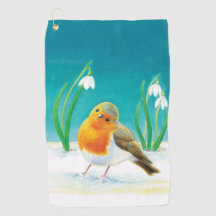 Vår Robin Bird Illustration