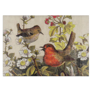 Vår Robin Birds Red Birding