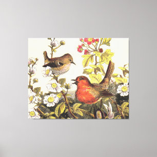 Vår Robin Birds Red Birding Canvastryck
