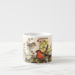 Vår Robin Birds Red Birding Espressomugg