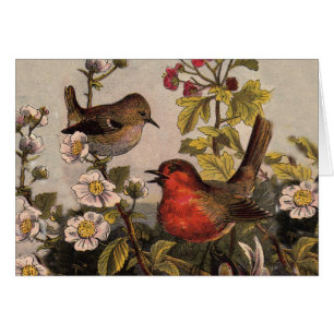Vår Robin Birds Red Birding Hälsningskort