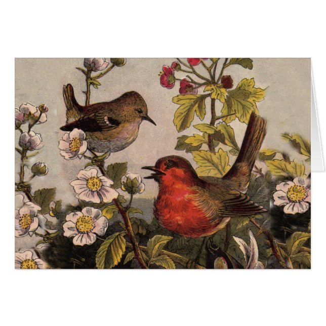 Vår Robin Birds Red Birding Hälsningskort (Framsidan Horizontal)