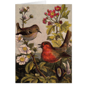 Vår Robin Birds Red Birding Hälsningskort