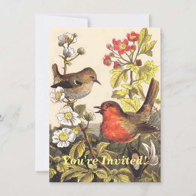 Vår Robin Birds Red Birding Inbjudningar (Framsida)