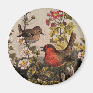 Vår Robin Birds Red Birding Magnet