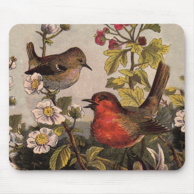 Vår Robin Birds Red Birding Musmatta (Framsidan)