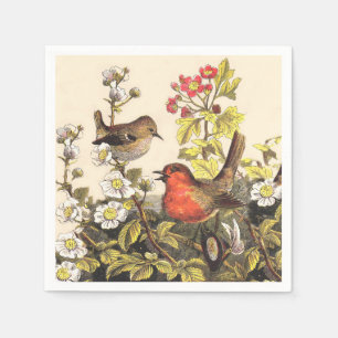 Vår Robin Birds Red Birding Pappersservett