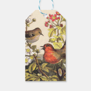 Vår Robin Birds Red Birding Presentetikett