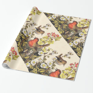 Vår Robin Birds Red Birding Presentpapper
