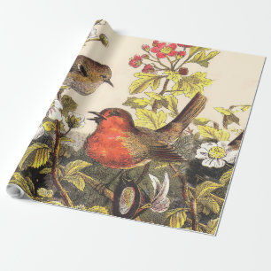 Vår Robin Birds Red Birding Presentpapper