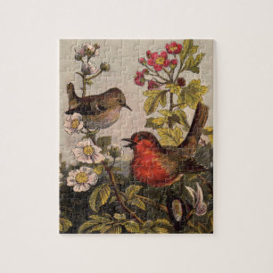 Vår Robin Birds Red Birding Pussel