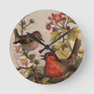 Vår Robin Birds Red Birding Rund Klocka