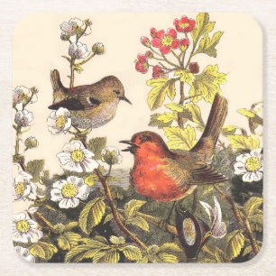 Vår Robin Birds Red Birding Underlägg Papper Kvadrat