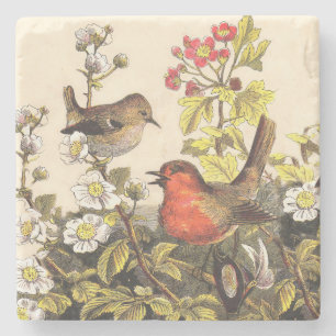 Vår Robin Birds Red Birding Underlägg Sten