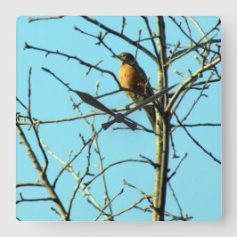 Vår Robin Fyrkantig Klocka