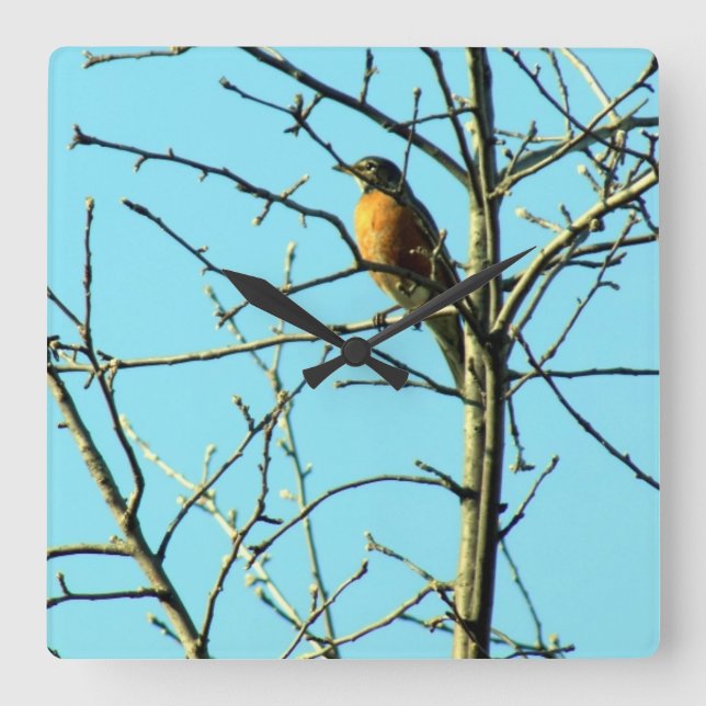 Vår Robin Fyrkantig Klocka (Framsida)