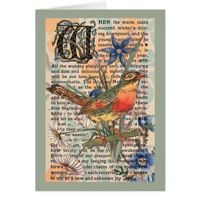 Vår Robin Hälsningskort (Framsidan)