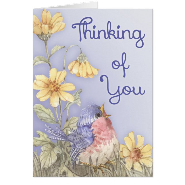 Vår Robin OBS Kort (Framsidan)