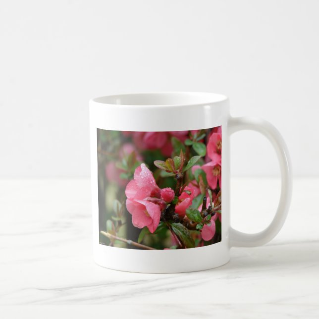 Vår Rosa Blommar Quince Kaffemugg (Höger)