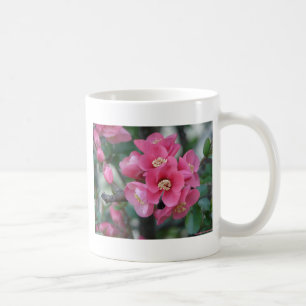 Vår Rosa Blooming Blommar Quince Kaffemugg