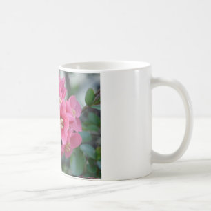 Vår Rosa Blooming Blommar Quince Kaffemugg