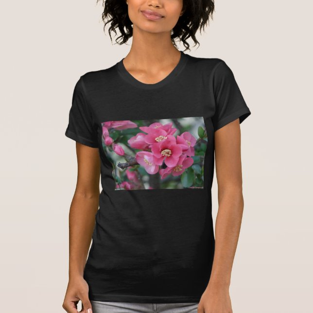 Vår Rosa Blooming Blommar Quince T Shirt (Framsida)