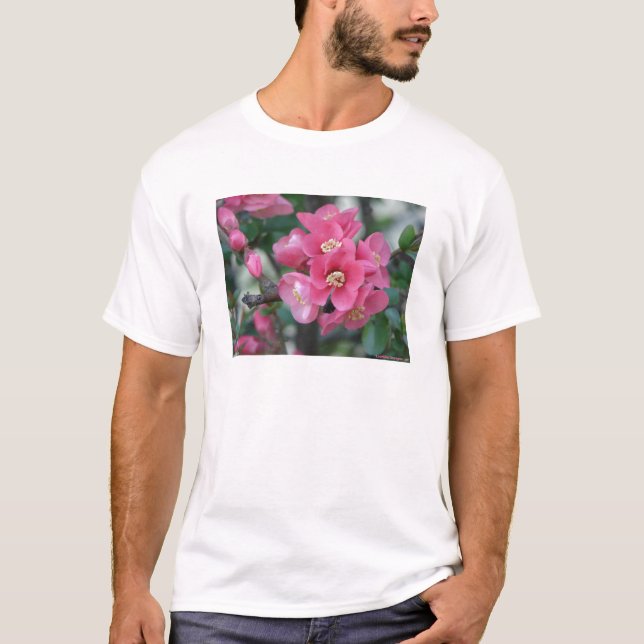 Vår Rosa Blooming Blommar Quince Tee (Framsida)