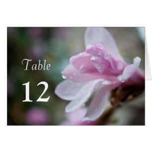 vår rosa, magnolia, bord-kort. OBS kort