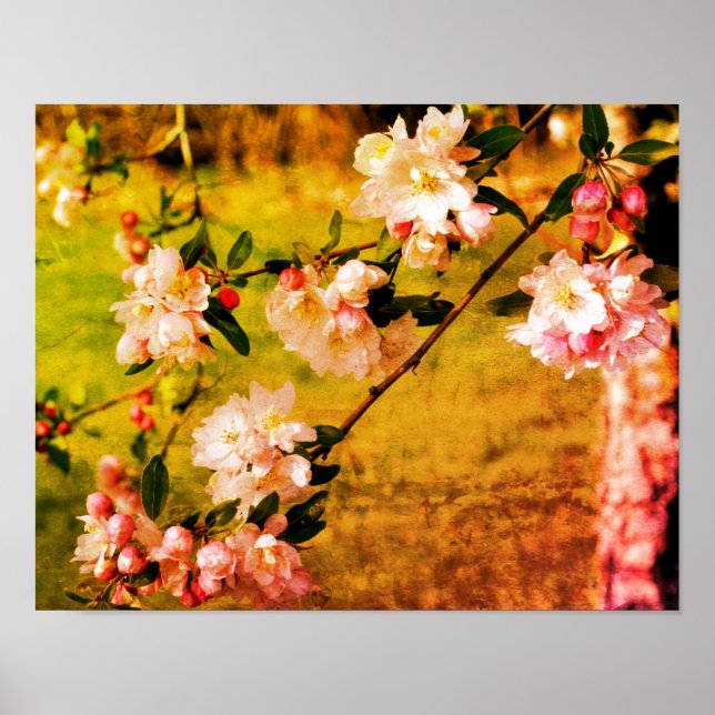 Vår Rosa och vita Blommar Grunge Abstrakt Poster (Framsidan)