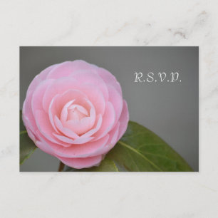 Vår Rosa ros OSA Kort