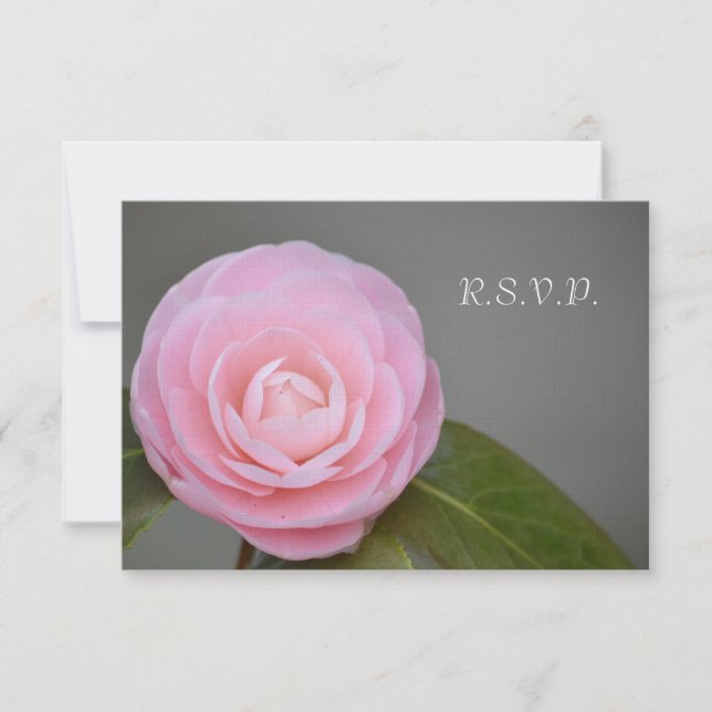 Vår Rosa ros OSA Kort (Framsida)