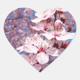 Vår Rosa Träd Blommar Blomsterklistermärken sälar Hjärtformat Klistermärke