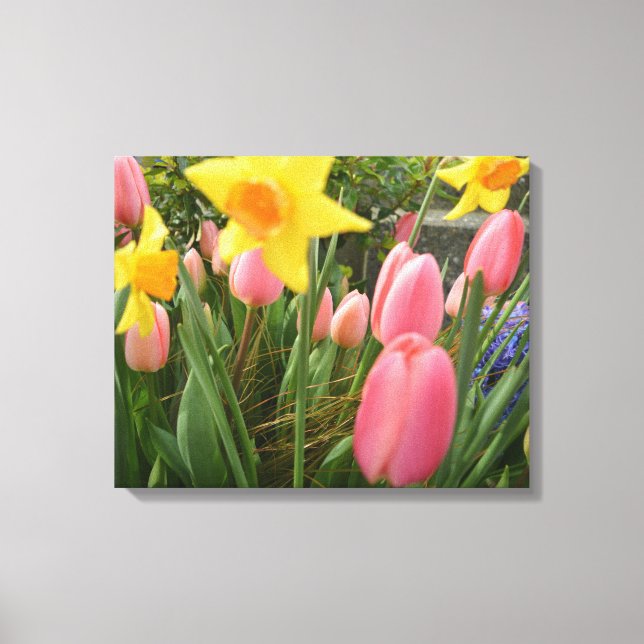 Vår rosa tulip och gult daffodil-blommor canvastryck (Framsida)