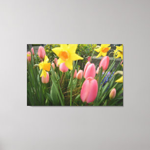 Vår rosa tulip och gult daffodil-blommor canvastryck
