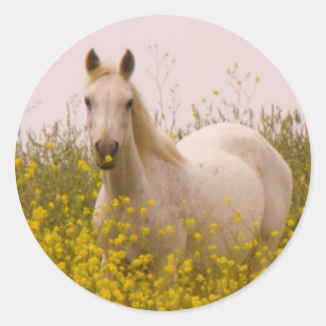 Vår Runt Klistermärke (Framsida)