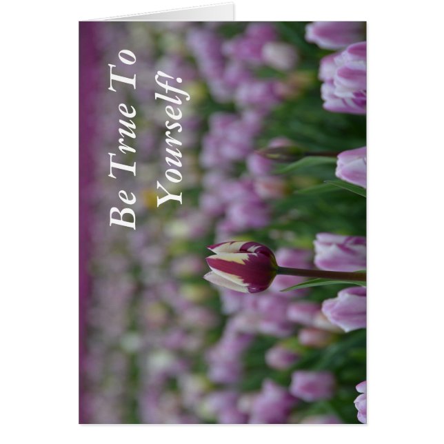 Var sann mot dig själv hälsningskort (Framsidan)