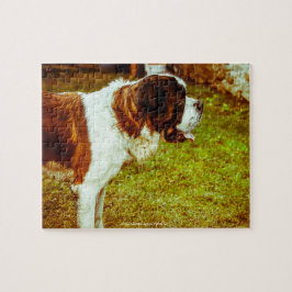 Vår sanna Bernard vår familjepet Pussel