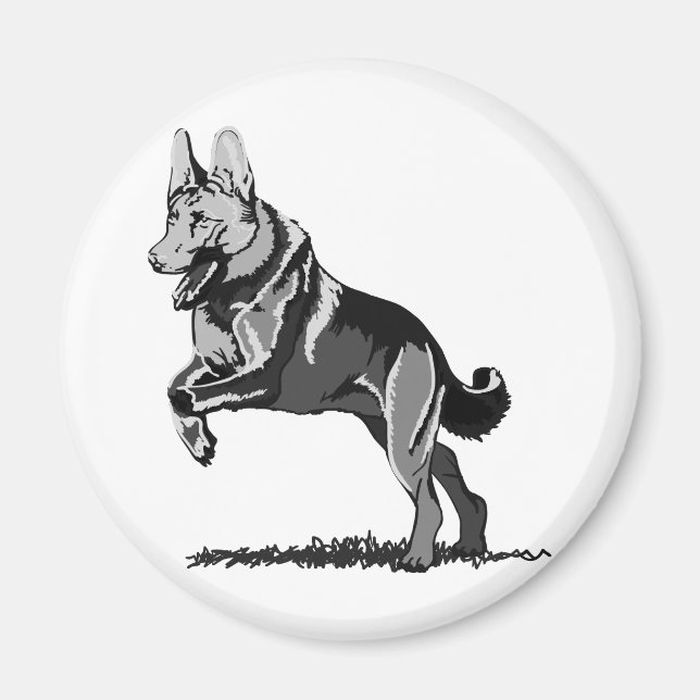 Vår Schäferhund Magnet (Framsidan)