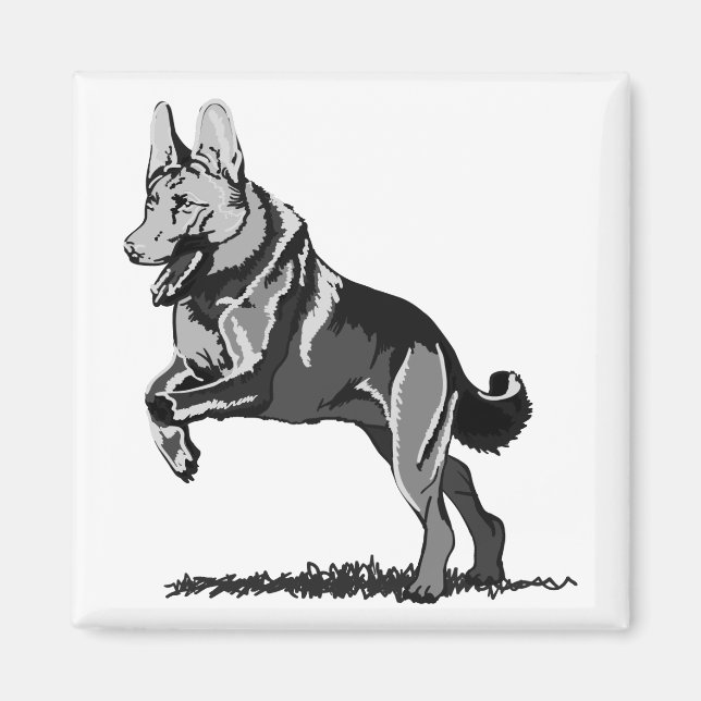 Vår Schäferhund Magnet (Framsidan)