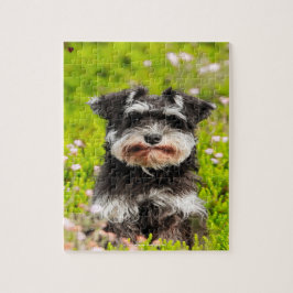 Vår Schnauzer vår familjepet Pussel