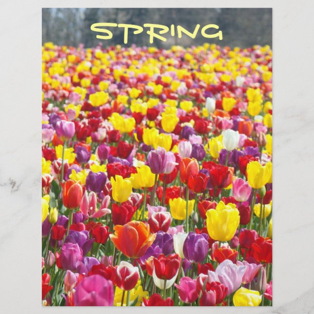 VÅR Scrapbook tema papper Tulpan Blommor (Framsida)