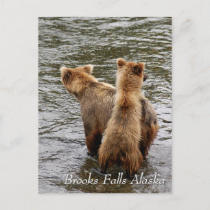 Var ser du mamma, Brooks Falls Alaska? Vykort
