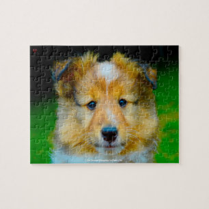 Vår Shetland Sheepdog Vår Familjepet Pussel