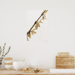 Vår Showers on Forsythia Flowers Poster