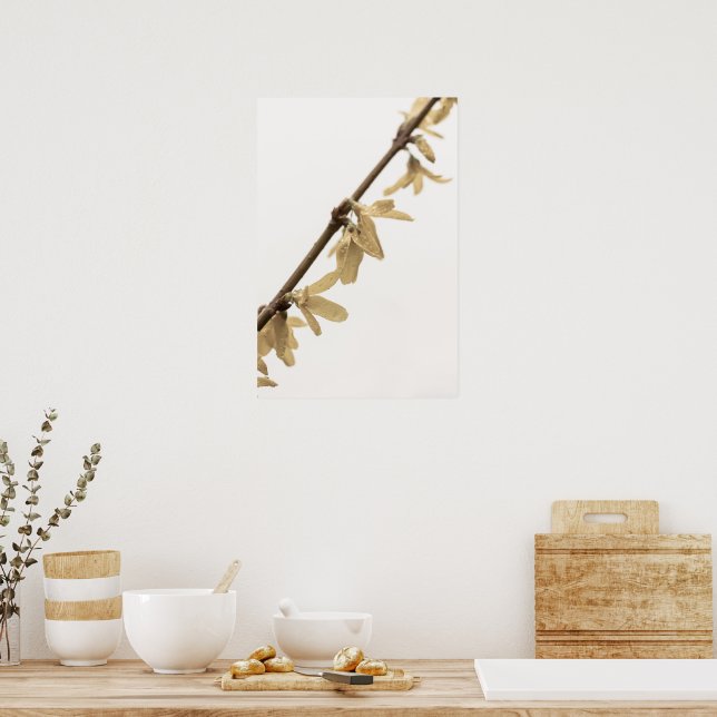 Vår Showers on Forsythia Flowers Poster (Kök)