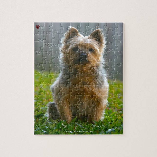 Vår Silky Terrier-familjepet Pussel (Vertikal)