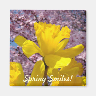 Vår Smil! Magneter Gula Narcissblommor